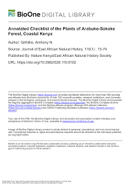 Image result for Indigofera wituensis