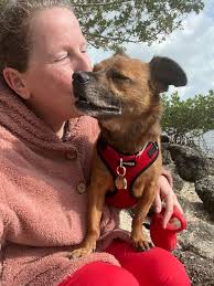 Horned Mud Puppies Enjoying Sun Bathing and Mud Treatment