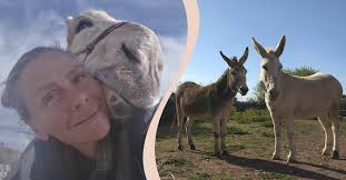 Nomaden Helena vandrar genom Europa med två åsnor