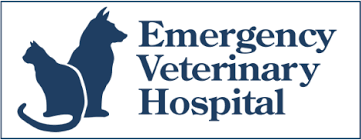 If you are concerned about your pet's condition, we always recommend visiting an emergency vet clinic near you. Emergency Veterinary Care Emergency Veterinary Hospital