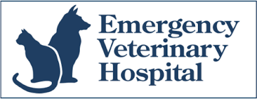 His owner was referred to family pet hospital from a clinic in medicine hat, and she made the long drive here to visit dr. Emergency Veterinary Care Emergency Veterinary Hospital