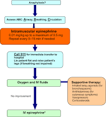 56 hours n time to peak: Anaphylaxis Springerlink