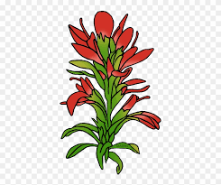 We did not find results for: State Flower Of Wyoming Indian Paintbrush Flower Clipart Free Transparent Png Clipart Images Download