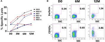 Frontiers Emergence Of Cd4 And Cd8 Polyfunctional T Cell