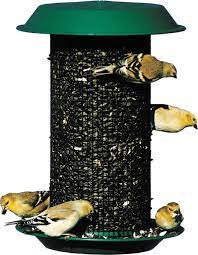 Birds Magnum Black Oil Sunflower Seed Feeder By Audubon Woodlink 5 Pound Cap Audubon Birds Black Cap Fe Black Oil Sunflower Seeds Sunflower Seeds Black Oil