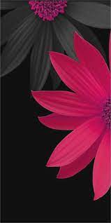 Последние твиты от zedge (@zedge). 24 Zedge Backgrounds On Wallpapersafari