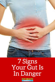 Pin On Gut Health Project