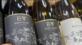 Summer Wine Tastings