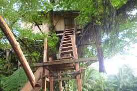 So, if you are looking for a comprehensive selection of tree houses and to go glamping, you're in the right place! Castle Tree House In Tanna Island Hotels Com