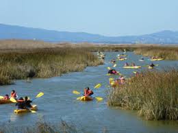 The county park provides a beautiful overlook of the salt pond and surrounding landscape nearby. Alviso Marina County Park Parks And Recreation County Of Santa Clara