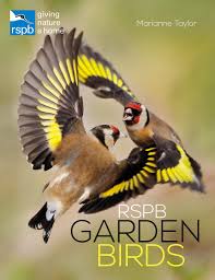 It's the world's largest bird survey nearly two thirds of those polled feel that watching birds and hearing their song added to their top bird counting tip: Rspb Garden Birds Taylor Marianne 9781472955913 Amazon Com Books