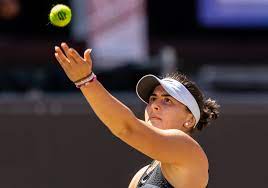 Bianca vanessa andreescu is a professional canadian tennis player. Uxlscocsj Kppm