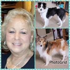 These Dish scapes are captivating.