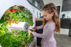 These home gardeners will eat freshly cut vegetables full of organoleptic and nutritional properties, and enjoy the impactful flavors of crops. Smart Indoor Gardens That Make Gardening Easily And Accessible With Their Automated Tech Yanko Design