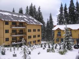 Trei brazi 64 brasov predeal, предял 1691 м от центра. Hotel Meitner In Predeal Romania Lets Book Hotel