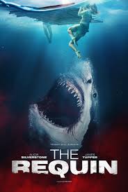 The Requin | Rtally
