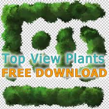 top view tree plant png graphic for architecture plan view top view tree plant png graphic for