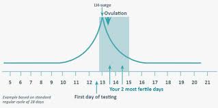 So how long is the commute from the earth to the moon anyway? How Does Plan B Really Work Don T Ask The Supreme Court Ask An Ob Gyn Dr Jen Gunter