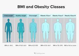Image result for Obesity