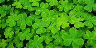 Patrick's day decorations and ideas courtesy of these free vintage st. St Patrick S Day Facts History About St Patrick S Day