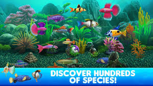 Fish Tycoon 2 Virtual Aquarium By Ldw Software Llc