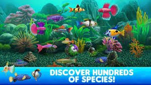 fish tycoon 2 virtual aquarium by ldw software llc