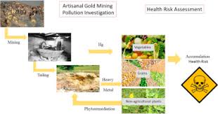 Silver, gold, copper and platinum are noble metals, not heavy metals like mercury, plutonium or lead. Soil Heavy Metal Contamination And Health Risks Associated With Artisanal Gold Mining In Tongguan Shaanxi China Sciencedirect