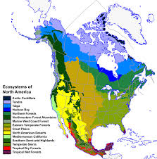 Biomes In The United States Map This Picture Is The Ecosystems In North America Geography Map Geography Country Maps