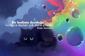 Kediler Ile Ilgili Sozler Pek Guzel Sozler