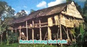 Contoh rumah betang suku dayak. Rumah Betang Uluk Palin