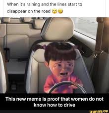 When It S Raining And The Lines Start To Disappear On The Road This New Meme Is