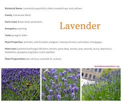 Etsy uses cookies and similar technologies to give you a better experience, enabling things like: Benefits Of Lavender Herb