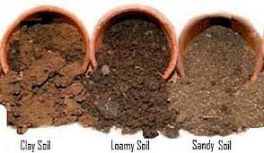 15 years in seven hours the mix saturates the soil to a depth of 60 cm. Garden Soil Types Clay Soil Loamy Soil Sandy Soil Chalky Soil Sandy Soil Clay Soil Garden Soil Preparation