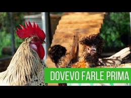 5 Modifiche Che Devi Fare Assolutamente A Un Pollaio Orto E Giardino Youtube Nel 2020 Orto Giardino Pollaio