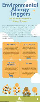Environmental Allergies Can You Have An Allergic Reaction To Mold Enviroklenz
