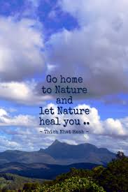 Go Home To Nature And Let Nature Heal You Thich Nhat Hanh Thichnhathanhquotecollective Bluebuddhaquotecoll Live Now Quotes Buddhist Quotes Natural Healing