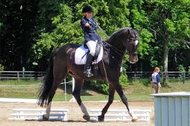 Die neuen nominierungstermine für das team deutschland werden. Reiten Mit Handicap Pferdemagazin