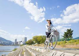 Adakah anda ingin belajar menunggang motosikal atau basikal? Peraturan Jalan Raya Bagi Basikal Live Japan Jepun Travel Dan Pelancongan Dan Panduan Pengalaman