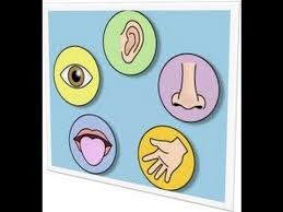 How To Teach The 5 Senses To Kids Hubpages