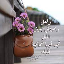 pin by صور معبرة on صورة وكلمة coach dinky crossbody saddle bags bags