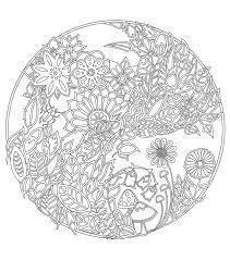Animals have chased away hunters. Chronicle Books Enchanted Forest Coloring Book Forest Coloring Book Enchanted Forest Coloring Book Enchanted Forest Coloring