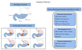 Pharmaceutics Free Full Text Current State And Future Perspectives On Gastroretentive Drug Delivery Systems Html
