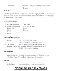 Crea un currículum profesional en tan solo 10 minutos. Pin En Curriculum Vitae