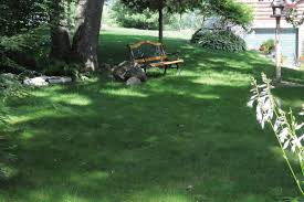 Grass alternatives beautifully bring form and function to any yard space. No Mow Grass Grass Alternatives Houselogic Lawn Tips