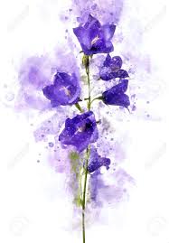 Download and use 100,000+ blue flowers stock photos for free. Digital Painting Of Blue Or Purple Bell Flowers Stock Photo Picture And Royalty Free Image Image 81690971