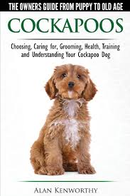 Browse thru our id verified puppy for sale listings to find your perfect puppy in your area. Cockapoos The Owners Guide From Puppy To Old Age Choosing Caring For Grooming Health Training And Understanding Your Cockapoo Dog Kenworthy Alan 9780992784386 Amazon Com Books
