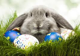Heute kann man es überall auch als gebäck kaufen. Ostern Lernspass Fur Kinder