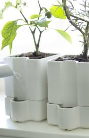 Ikea Us Furniture And Home Furnishings Ikea Plants Self Watering Pots Self Watering Plants