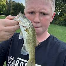 ᐅ Lake Bentley fishing reports🎣• Prattville, AL (United States) fishing