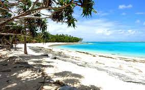 Finden sie hochwertige fotos, die sie anderswo vergeblich suchen. Vanuatu 5 Traum Strande Die Du Fast Ganz Alleine Fur Dich Hast